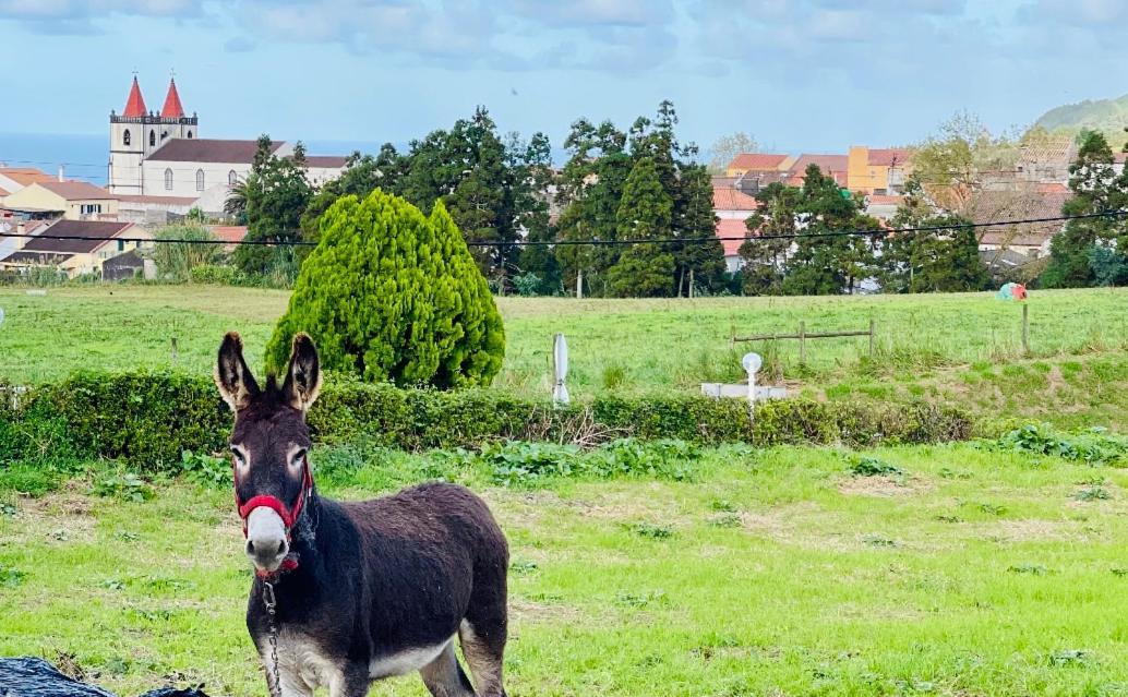 Quinta Do Avo Dimas - Rural Home - Sao Bras Porto Formoso المظهر الخارجي الصورة